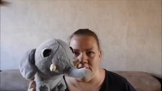 Vlog189 Nicer Dicer Tierpark Notdienst Zahnarzt [upl. by Hannah]