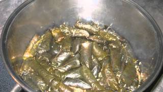 Moms Chaldean Dolma  Cooking Recipe  How to make The Best Stuffed Grape Leaves on Planet Earth [upl. by Onid905]