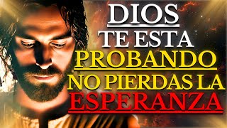 NO PIERDAS LA ESPERANZA DIOS TE ESTÁ PREPARANDO PARA ALGO GRANDIOSO TEN FE y CONFÍA EN SU PALABRA [upl. by Lanfri]