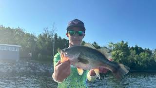 Candlewood Fishing Camp  Lake Champlain Best Catches  So Far [upl. by Enirok610]