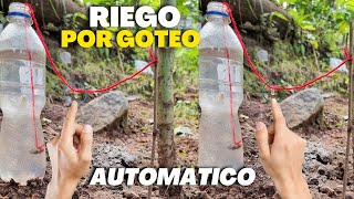 Sistema de Riego Automático por Goteo 💧 Casero para hidratar plantas árboles Frutales 🍀☘ [upl. by Eladnyl]