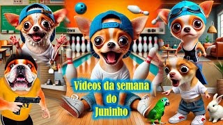 A semana do Juninho  49 de set [upl. by Ahsitan]