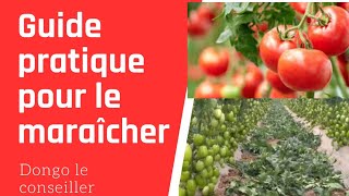 entreprenariat agricole comment réussir le maraîcher  voici le plan étapes par étapes [upl. by Ttenyl]