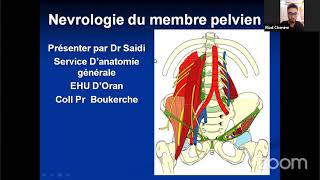 🔴Anatomie  Plexus LomboSacré [upl. by Jenelle]