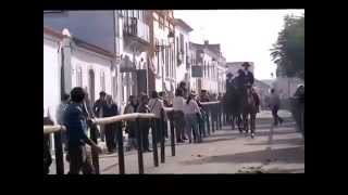 FEIRA CAVALO GOLEGÃ HORSE FAIR [upl. by Harbard]