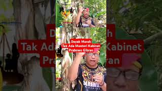 Dayak Marah Hari ini 2024 shorts tukanglihat prabowo gibran menteri ikn sukudayak [upl. by Mallina279]