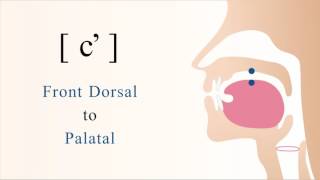 cʼ  unvoiced front dorsal palatal ejective stop [upl. by Barnaby]