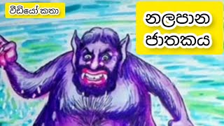 නලපාන ජාතක කතාව  nalapana jathakaya  jathaka katha sinhala  ජාතක කතා සිංහල  ජාතක කථා  jathaka [upl. by Yank763]