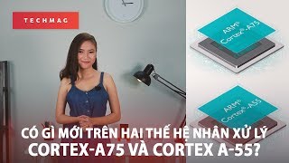 Có gì mới trên hai thế hệ nhân xử lý CortexA75 và Cortex A55 [upl. by Esiuole]