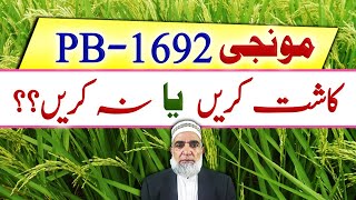 Should we cultivate PB 1692 rice variety in Pakistan  Crop Reformer [upl. by Digirb]