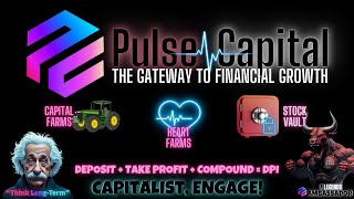 Pulse Capital SetUp [upl. by Enerak154]