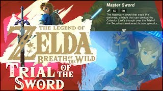 Breath of the Wild in 8 Hours Heres What I Wish I Knew [upl. by Wanonah]