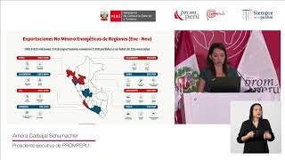 Plan de Promoción de Exportaciones e Inversiones 2022 [upl. by Caughey862]