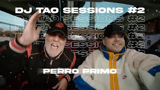 PERRO PRIMO  DJ TAO Turreo Sessions 2 [upl. by Ause]