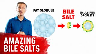 The 9 Benefits of Bile Salts [upl. by Urial391]