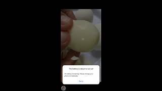 BOY KAON VLOGS is liveLETS CRACK PEELING CHICKEN EGG 🥚🥚🥚 YUMMY EASY yummyeasycrackpeeling [upl. by Kinsman]