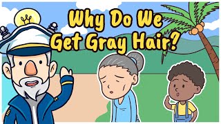 Why Do We Get Gray Hair [upl. by Charis]