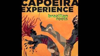 Capoeira Experience  Capoeira Eletrônica [upl. by Kachine939]