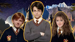 Harry Potter Cast LEAKED  Warner Lawsuit Over Potter Show [upl. by Einnal954]