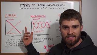 What Is Periodization LINEAR DUP BLOCK EXPLAINED [upl. by Nirb]