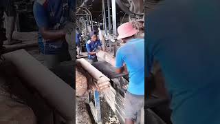 CUTTING WOOD HAS NEVER BEEN EASIER shortvideo usa [upl. by Oicangi]