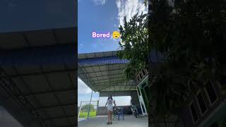 Hello everyone Bored ពេក bored youtube youtuber youtubeshorts youtubevideo youtubechannel [upl. by Barny]