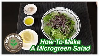 How To Make a Microgreen Salad [upl. by Moses65]