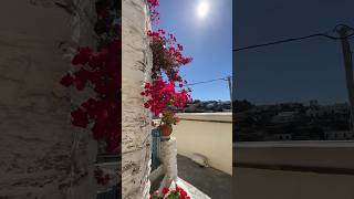 📍Tinos island Greece🇬🇷Let’s take a walk…🏝️ tinos reels greece greekislands travel shorts [upl. by Hannazus]