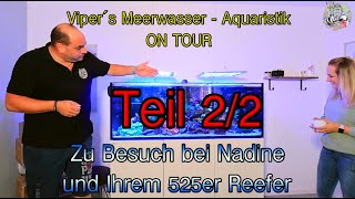 Viper´s Meerwasser Aquaristik ON TOUR zu Gast bei Nadine Teil 2 [upl. by Eibob896]