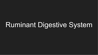 Ruminant Digestive System [upl. by Yenittirb550]