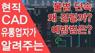 현직 캐드 유통업자가 알려주는 불법 단속 걸리는 이유와 예방법 [upl. by Calondra]