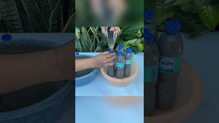 Its excellent beautiful result from bottle with molds diy cement cementpots shortvideo [upl. by Ramona769]