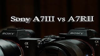 Sony A7III vs A7RII [upl. by Yrehcaz]