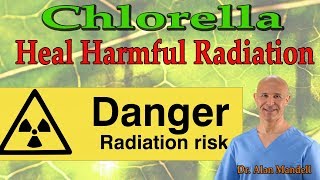 Chlorella The Healing Superfood Power to Harmful Radiation  Dr Alan Mandell DC [upl. by Hammad]