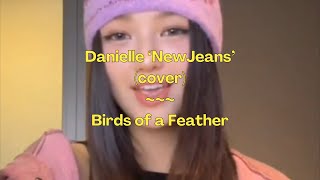 Billie Eilish  Birds of a Feather  Cover by Danielle New Jeans I LirikLyrics  Lirik Video [upl. by Cyrilla851]