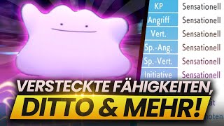 DITTO VERSTECKTE FÄHIGKEITEN amp RICHTERFUNKTION BEKOMMEN  Pokemon Strahlender Diamant [upl. by Randell998]