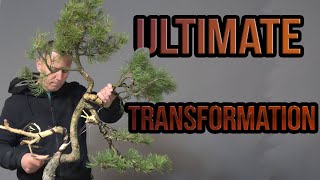 Ultimate transformation [upl. by Coh]