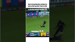 Best catch of ipl 24 by ramandeep Singh best catches in cricket This video is for entertainment p [upl. by Ggerg]