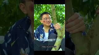 2 Kamine Dost 🤣 funnyvideo shorts short [upl. by Perpetua]