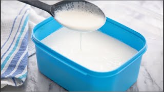 How to Make Yogurt From Scratch With Just 3 Ingredients  BONUS BREAKFAST RECIPE  ZEELICIOUS FOODS [upl. by Adaminah]