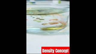 Science experiment density physics cbse icse trendingshorts [upl. by Ollie]