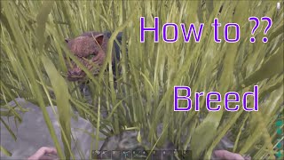 ARK  Sabertooth  How to Breed [upl. by Esor147]