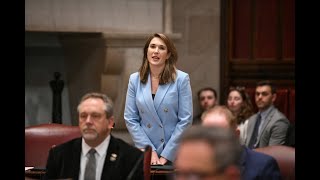 Senator Hinchey Welcomes AFTD and Emma Heming Willis to Senate Chambers [upl. by Esele684]