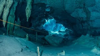 Cenote diving Dos Ojos Mexico [upl. by Akinyt]