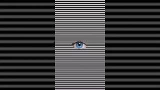 Monochrome Hypnosis A Mesmerizing Black and White Illusion illustration trippy shortss [upl. by Ahsitnauq46]