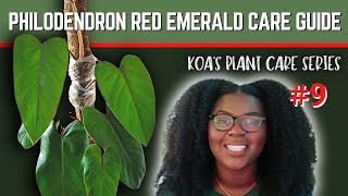 The 1 Beginner Friendly Philodendron🙌🏾  Philodendron Emerald Red Care Guide [upl. by Yxel432]