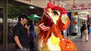 Lion Dance by the Chinese Dance School of Sydney [upl. by Nomde302]