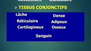 Histologie  Introduction S1  SVI BCG [upl. by Lladnarc274]