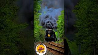 Wait for End  Steam Engine  Heavy Black Smoke railway travelwithtrain29 viralshorts [upl. by Yeknarf]