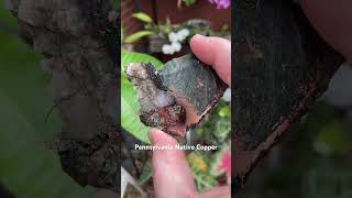 Native copper from Adams County Pennsylvania With greenstone quartz and black tenorite [upl. by Koval]